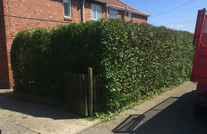 Fisher’s Garden Services & Rubbish Removal